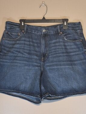 American Eagle Outfitters Curvy Relaxed Denim Shorts